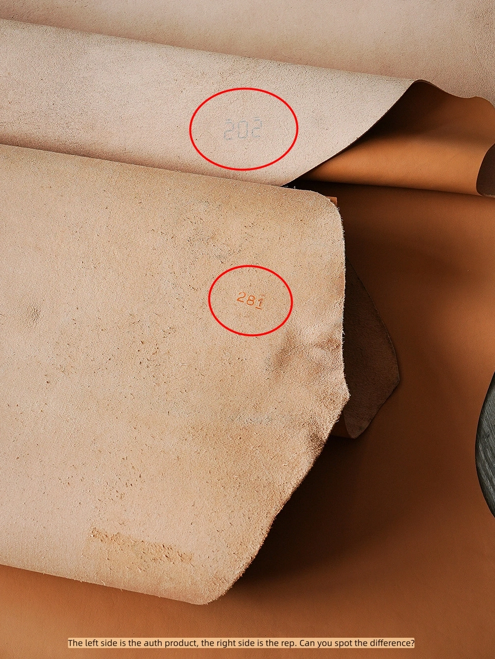 Finished Comparison 10